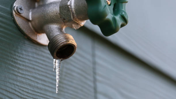 Best Residential Plumbing Services  in Converse, IN